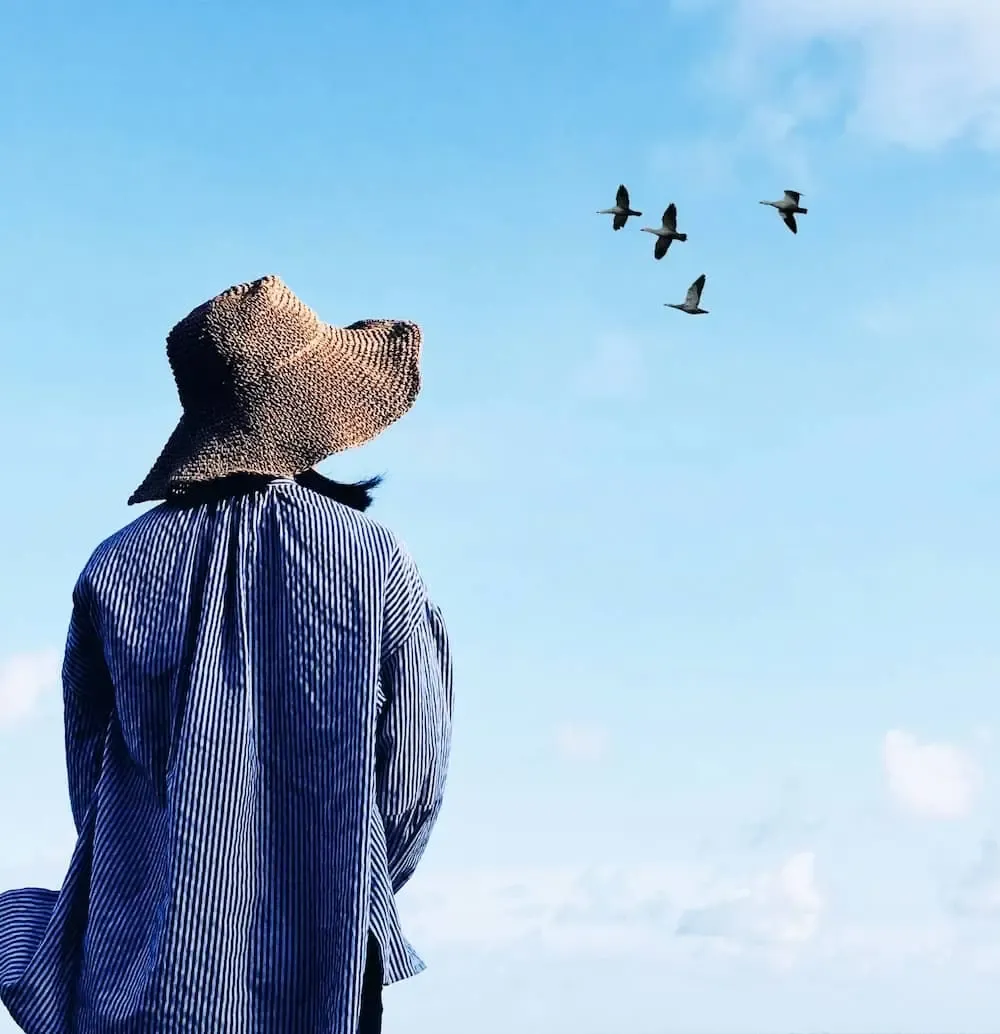 a person is facing outward looking at birds flying in the sky